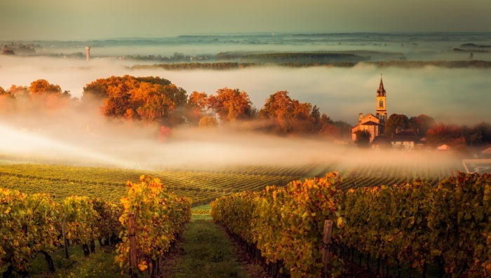 saint-emilion, france vineyards and landscapes