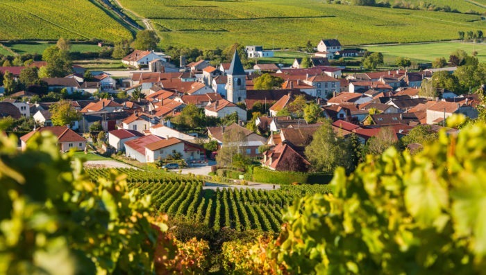 aireal view of champagne vineyards and village