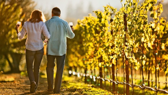 romantic couple walking in vineyards