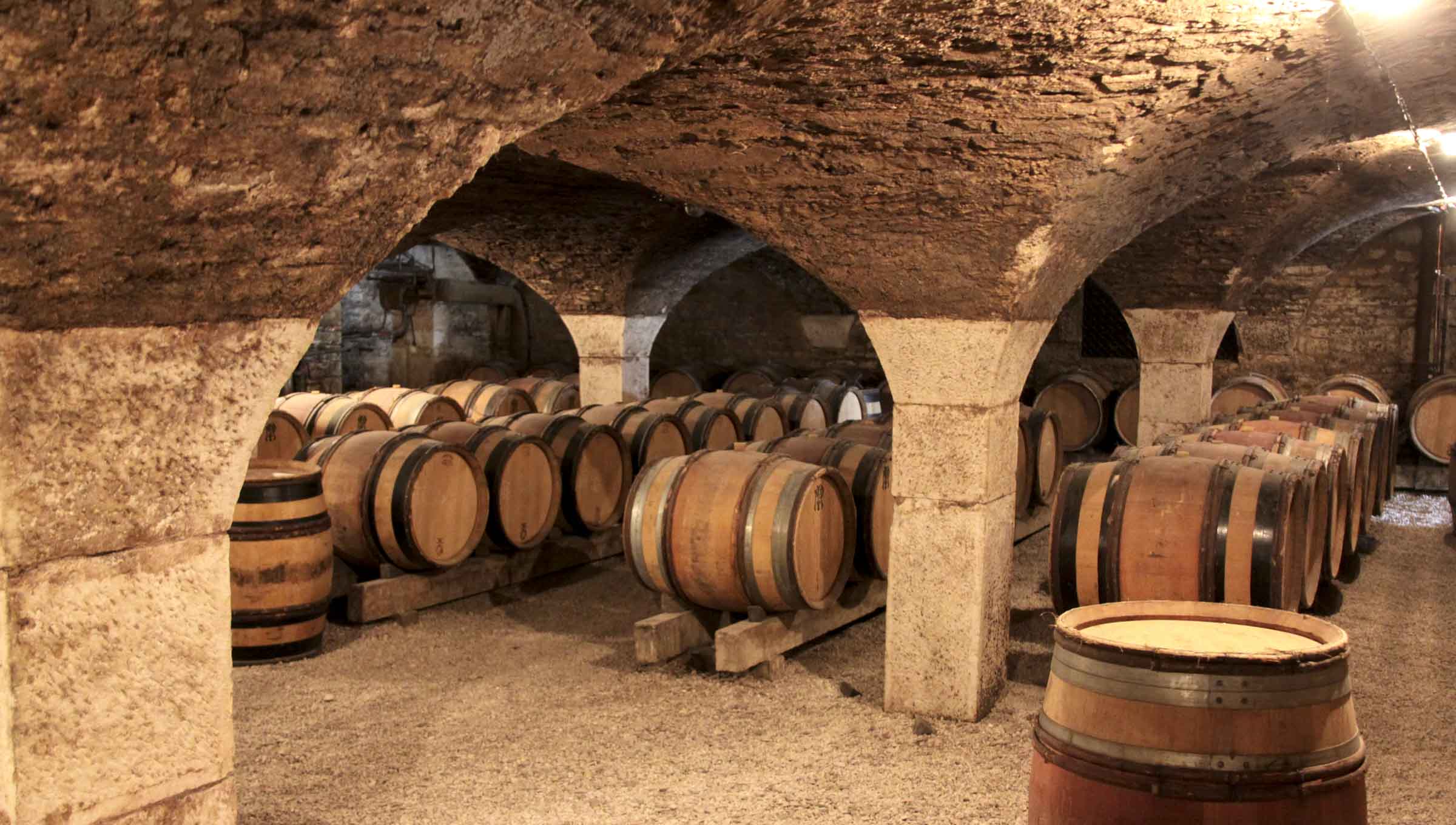 burgundy wine tours from dijon