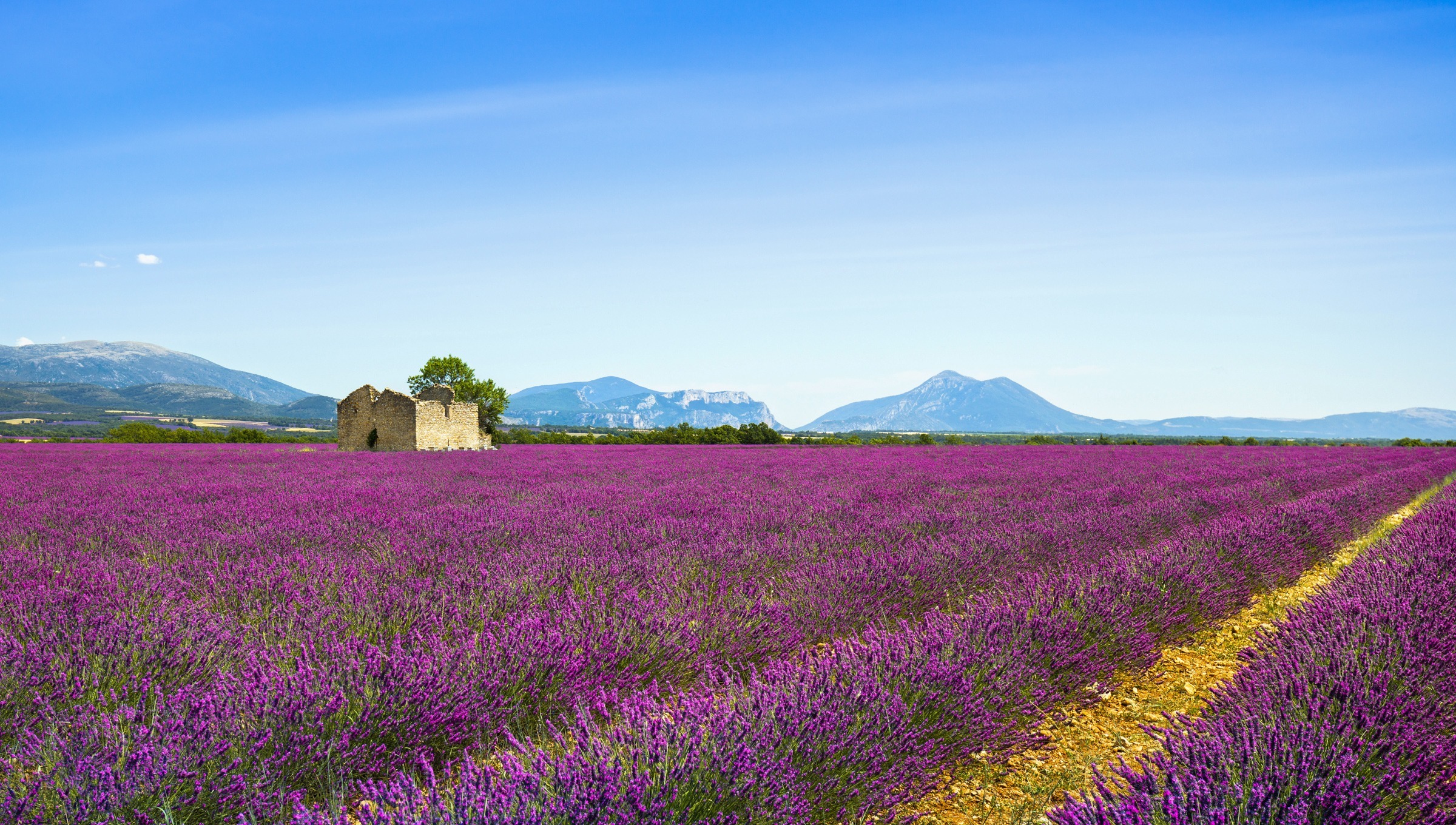 south france tour packages