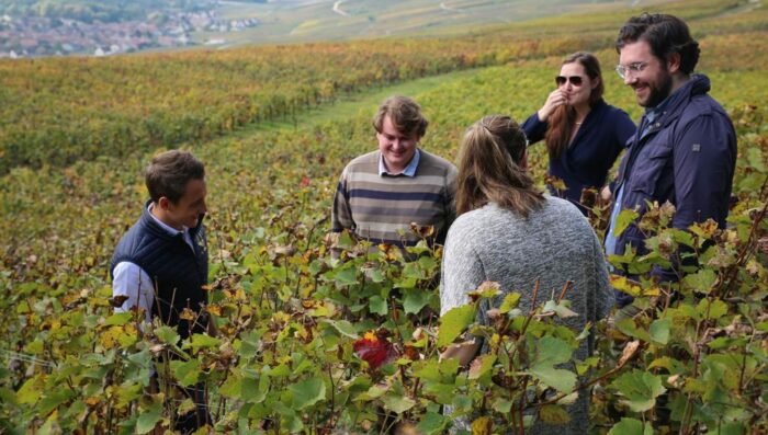 tour group in champagne vineyard