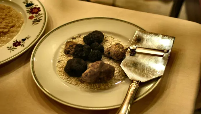 Private Truffle Hunting and Tasting Tour