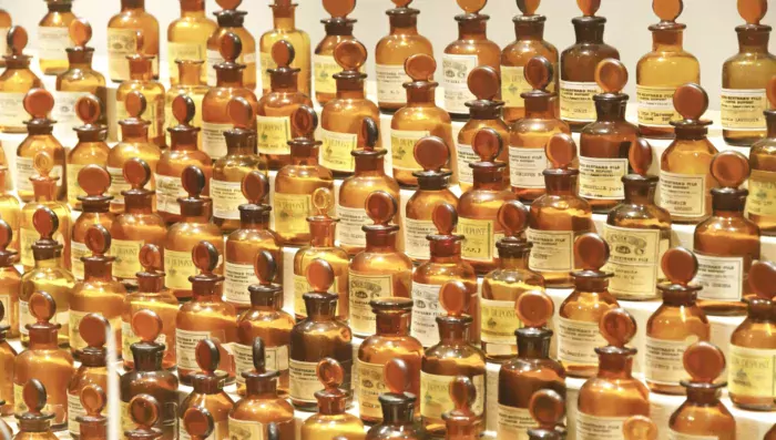 International perfume museum and garden| French Side Travel | France Trip | Paris Trip | Luxurious Trip | Customize Trip