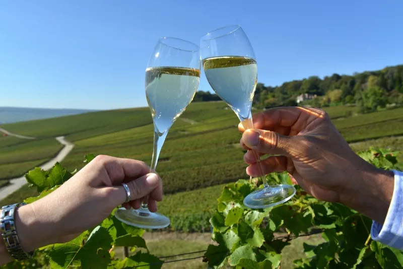 champagne French Side Travel's Client Favorite Destinations in 2023